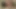 Dik milfs almak berbat kadar orgazm içinde bir açık havada üçlü