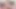 LICENSED TO BLOW - gabriella paltrova üvey baba love