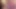 Piggy Rose büyük ayı ve lucipork ile xbiz miami'de yayın yapıyor