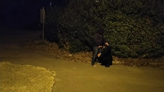 Park yerinde döl çıkarma