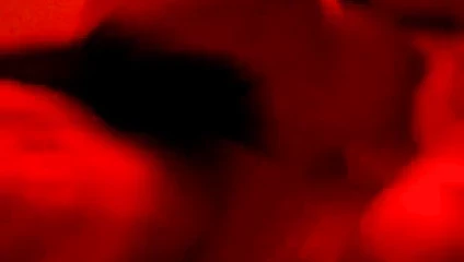 cindy petite parisienne