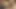 Seksi kız iki yarak deliklerini sikip boşalmak için eğiliyor