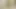 videom