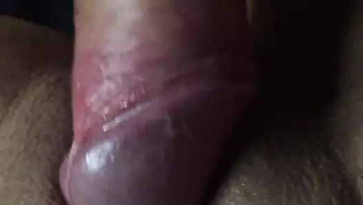 Pov pembe kedi sikme ile latina amatör