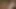 Kink Studios Tur Rehberi Porno