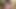 Hard and deep anal to my WIFE on her First Time. It was his TWIN!