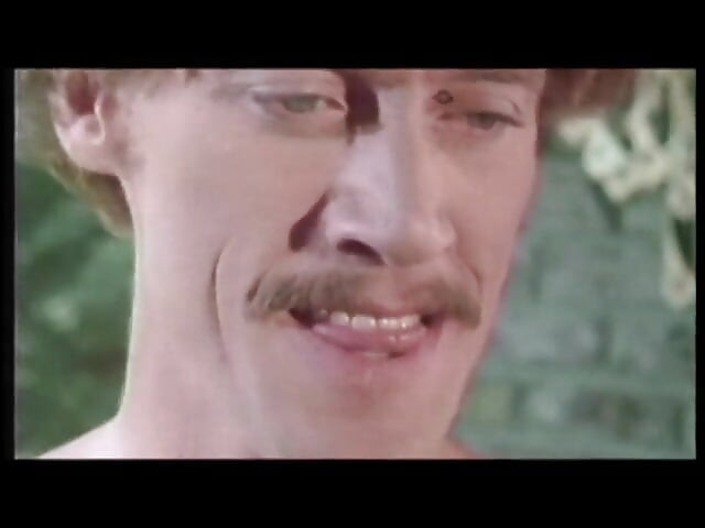 John Holmes nostaljik porno: harika büyük memeli bir piliçle sert sikiş