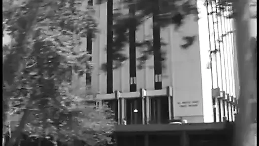 Siyah sürtük tıraşlı amcığını yalatıyor ve sonra siyah yarağa biniyor