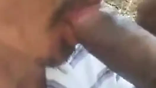 Seyir ... sonbahar ormanında neler oluyor