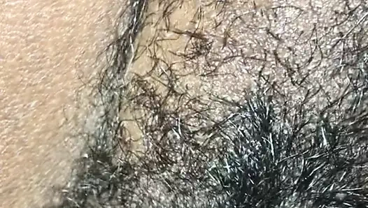 Şişman kıllı kedi becerdin tarafından büyük çikolata çük