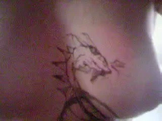 Wifi'den alınan güzel amatör