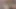Hintli en ateşli kız Oliva ormanda patronuyla ateşli seks yapıyor