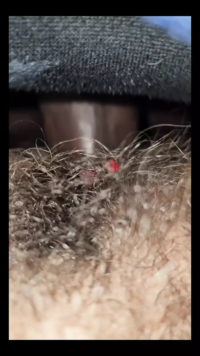 İnce kıllı arka çekimleri