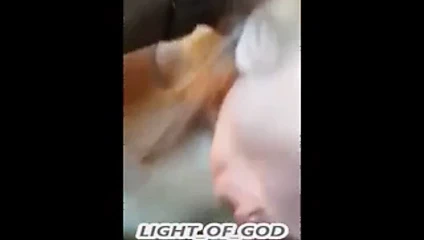 Büyük siyah horoz emmek onun eş