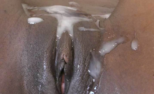 Çikolata kedi kaplı ile kalın cum