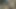 Sarışın fahişe göt deliğini adam etiyle doldurtarak yüzünün döllenmesini istiyor