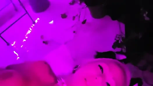 Pretty Party Smokey Kitty