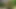 Birlikte mi boşalıyorlar? Büyük amatör boşalmaların derlemesi