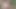 Dp'de iki yarak açık havada azgın kaltak için sikişiyor