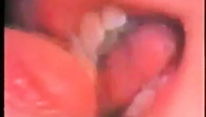 Azgın kızların eğlencesi