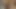 Oldukça sağlam şişe kedi yerleştirme.
