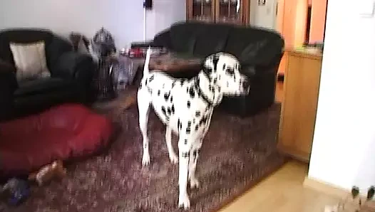 Vintage retro alman amatör - günlük porno dozunuz