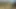 Rickysroom vahşi bir indica çiçek sexploring