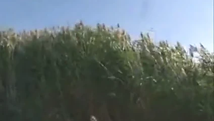 yaşlı adam ve bebek plaj seks 2 tüvit