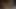Pis ırklararası bbc anal