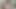 Eveyourapple'ın küçük ev çiçekleri
