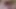 Alejandra velasquez prostituta sps honduran
