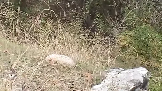 hardcore sanatı!!! - cilt #02