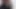 Pakistanlı Hint bengalcesi tiktok
