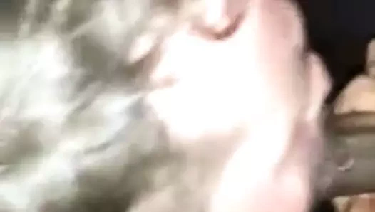 Dilenci sütü içmek