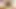 Dildo banger Brielle yataktayken pembe amını ıslatıyor!
