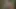 Sikilmeden önce çatıda götümü ve yarağımı yiyor