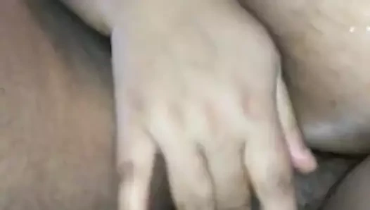 ıslak kıllı abanoz kedi kapatmak