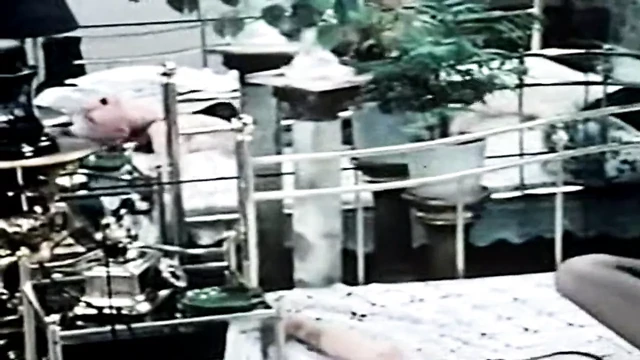 Büyük kalıntılar 9 - lezbiyen baskı