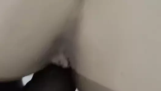 Utangaç Rus hızlı köpek