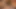 İngiliz olgun orta yaşlı seksi kadın tombul ateşli genç erkek avcısı büyük zenci yarağını seviyor