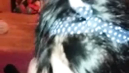 Manchester'lı sürtük sakso