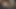 Orta yaşlı seksi kadın kaygan yarak emiyor