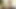 Yetişkin yıldız riley reid röportajı