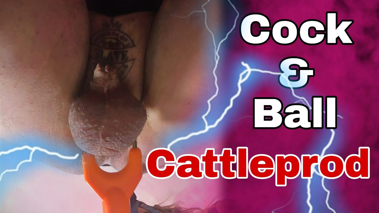 Sıfır sığırı taşaklara eğitmek! Kadın egemenliği köle esaret bdsm ceza anal elektrikli oyun gerçek ev yapımı orta yaşlı seksi üvey anne flr