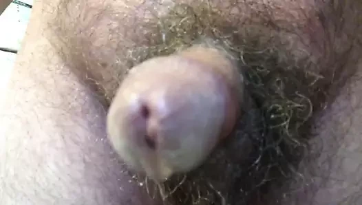 Horoz enayisinin bakış açısı