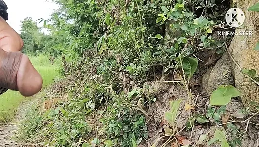 Jungle ghumne ke liye ga hai