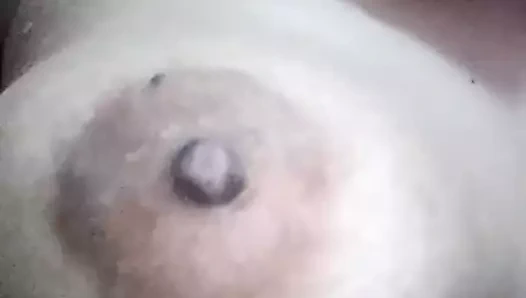 Sella evrensel motor kk