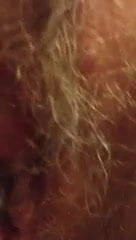 yakın yukarı kedi oyun