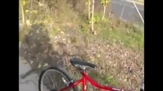 Cum içinde yüz kamu