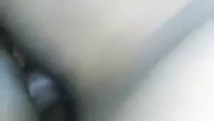 karısının iyi ıslak kedi